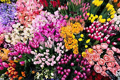 《机动战士高达：激战任务2》PC版韩国通过评级