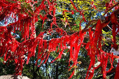 《暗黑破坏神：不朽》没法在某些国家推出 因为战利品箱